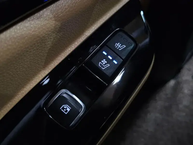 2022 Kia Carnival с пробегом 110 970 км