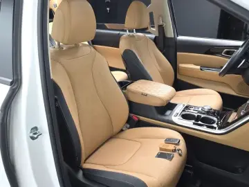2022 Kia Carnival с пробегом 43 509 км
