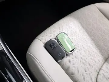 2021 Kia Carnival с пробегом 76 550 км