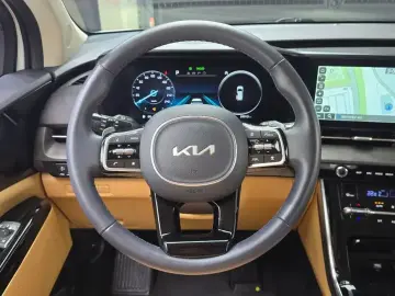 2023 Kia Carnival с пробегом 24 013 км