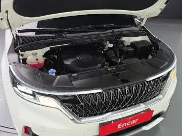 2021 Kia Carnival с пробегом 30 166 км