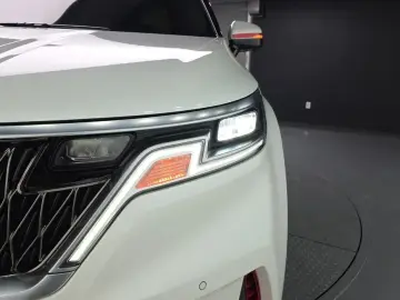2021 Kia Carnival с пробегом 30 166 км