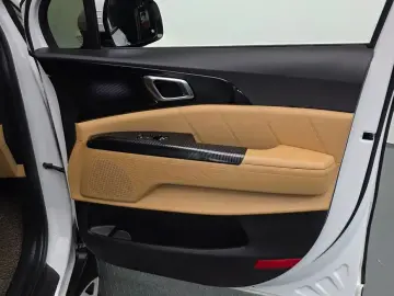 2021 Kia Carnival с пробегом 30 166 км