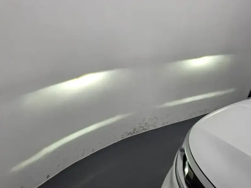 2021 Kia Carnival с пробегом 51 522 км
