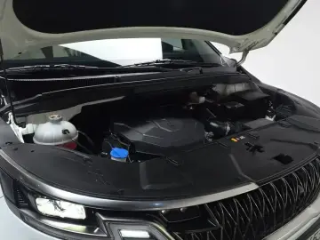 2021 Kia Carnival с пробегом 74 383 км