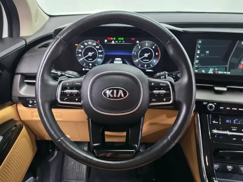 2021 Kia Carnival с пробегом 75 599 км