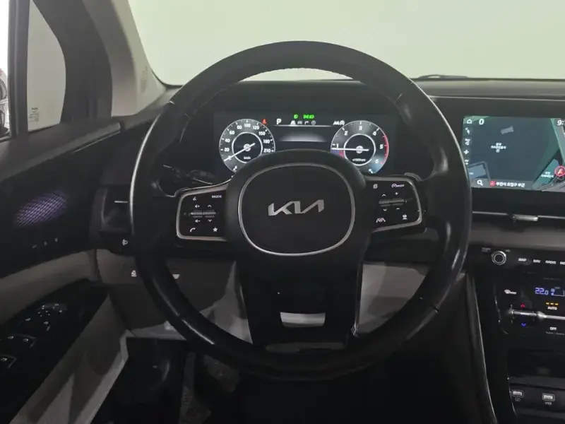 2022 Kia Carnival с пробегом 154 523 км