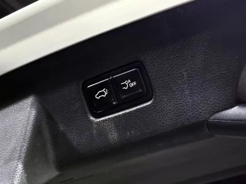 2021 Kia Carnival с пробегом 66 819 км