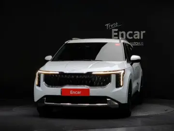 2024 Kia Carnival с пробегом 31 291 км