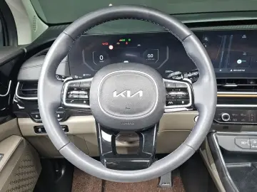 2024 Kia Carnival с пробегом 22 863 км