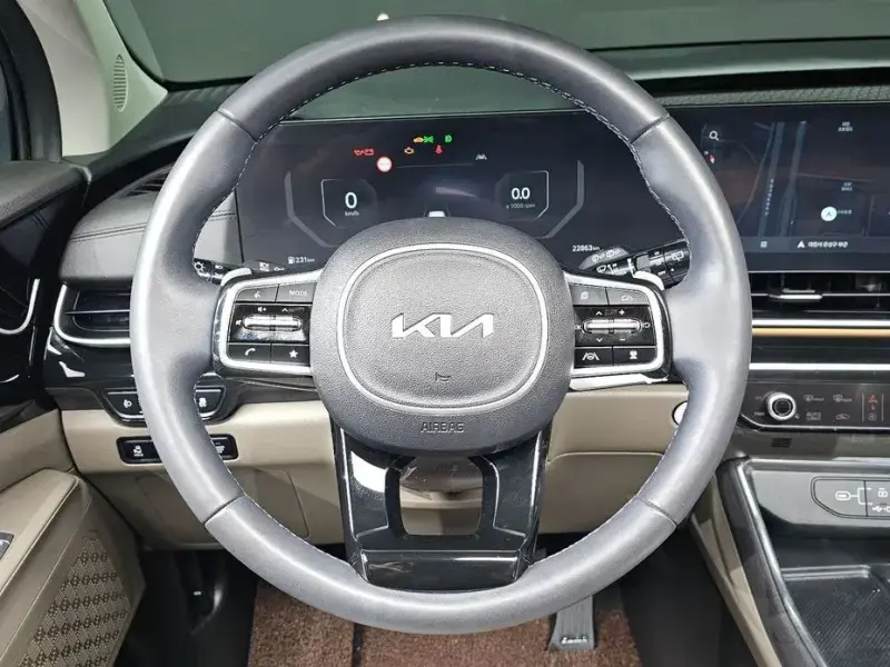 2024 Kia Carnival с пробегом 22 863 км