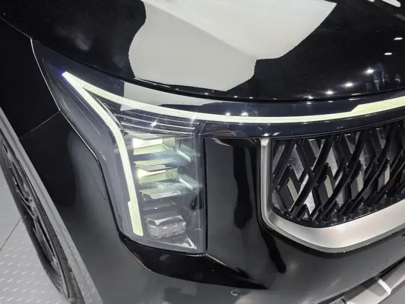 2024 Kia Carnival с пробегом 18 764 км