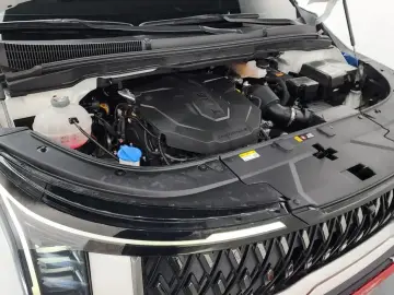 2024 Kia Carnival с пробегом 19 312 км