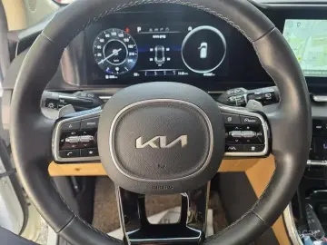 2023 Kia Carnival с пробегом 47 280 км