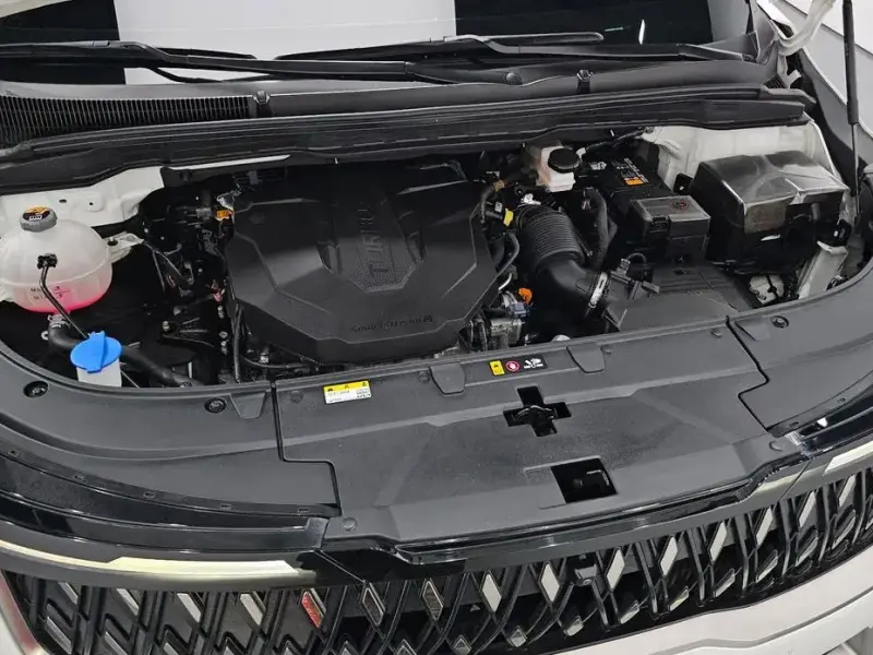 2024 Kia Carnival с пробегом 24 851 км