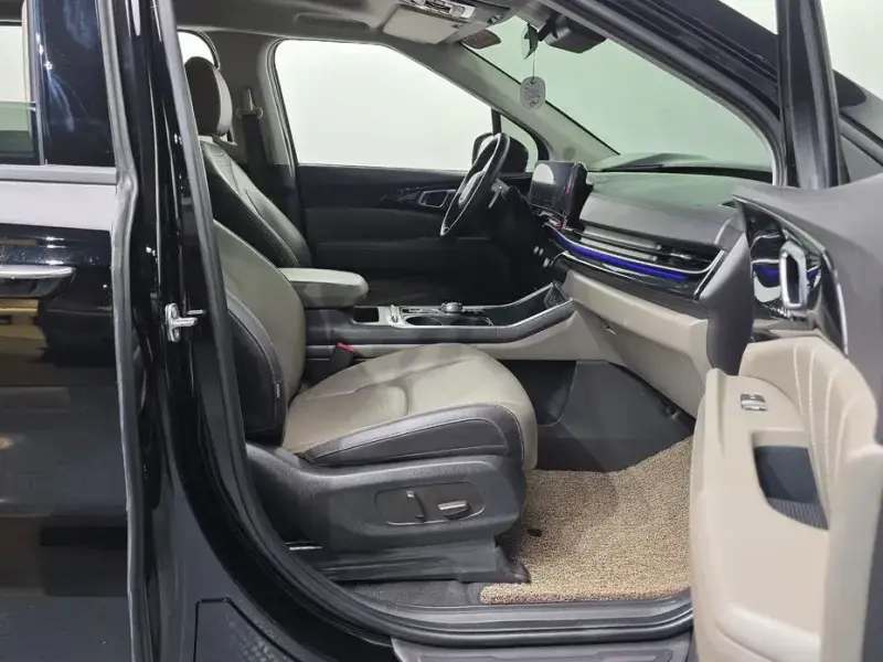 2024 Kia Carnival с пробегом 30 056 км