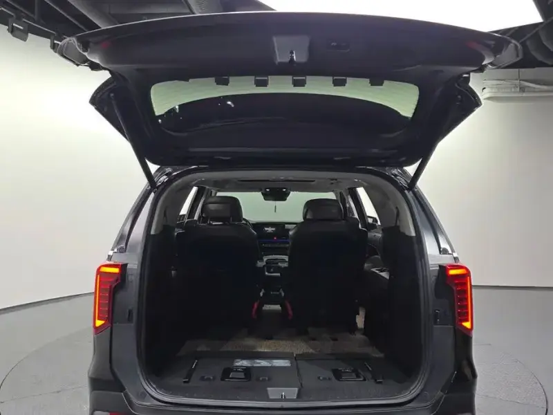 2024 Kia Carnival с пробегом 30 056 км