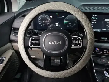 2024 Kia Carnival с пробегом 14 561 км