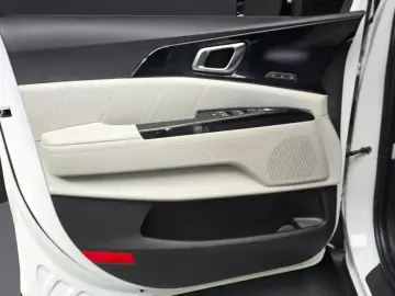 2021 Kia Carnival с пробегом 35 808 км
