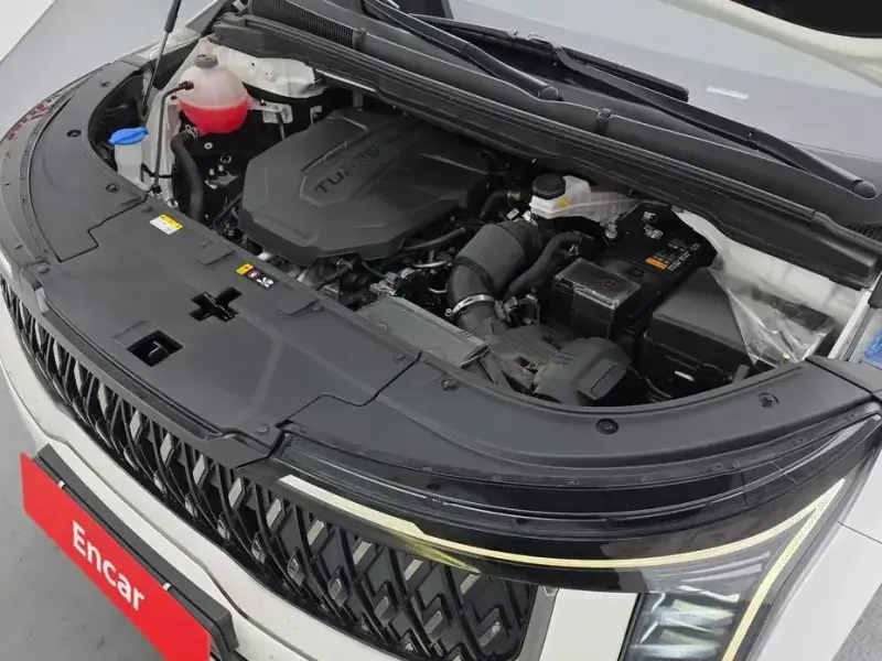 2024 Kia Carnival с пробегом 17 873 км