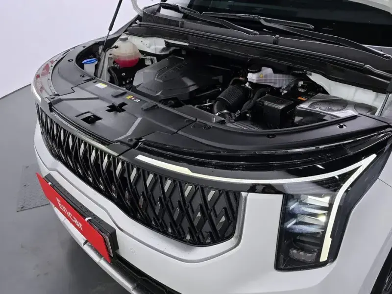 2024 Kia Carnival с пробегом 16 074 км