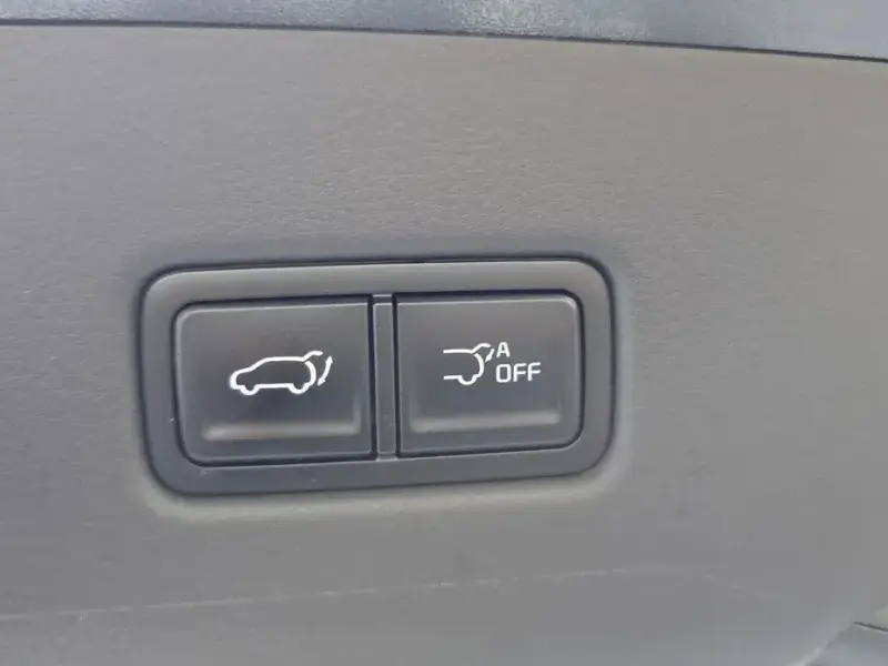 2024 Kia Carnival с пробегом 37 085 км