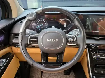 2021 Kia Carnival с пробегом 25 462 км