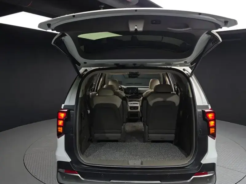 2024 Kia Carnival с пробегом 30 134 км