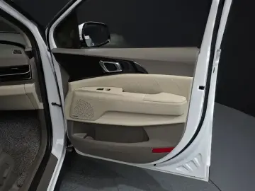2024 Kia Carnival с пробегом 30 134 км