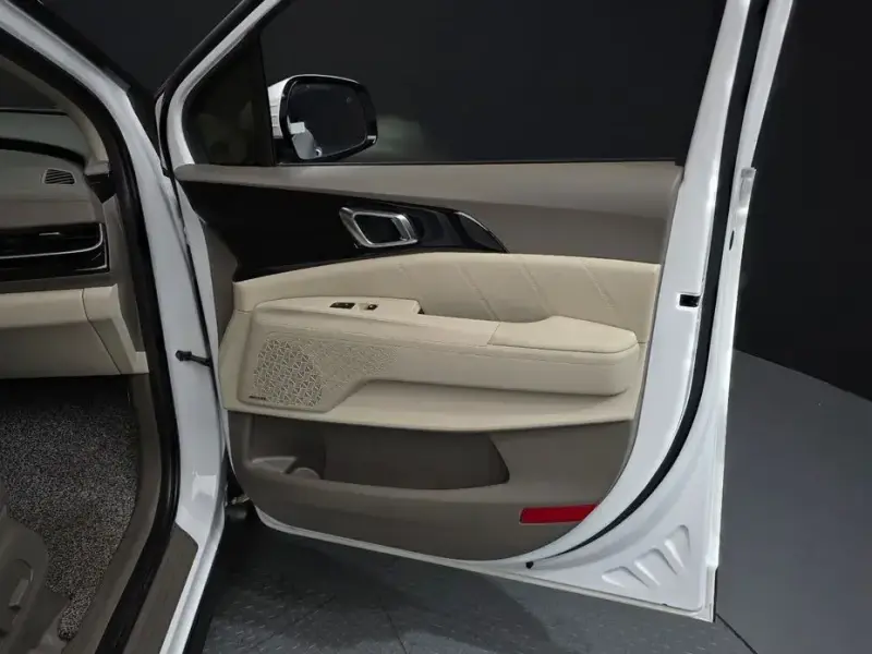 2024 Kia Carnival с пробегом 30 134 км