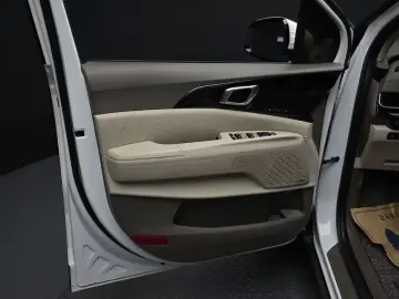 2024 Kia Carnival с пробегом 30 134 км