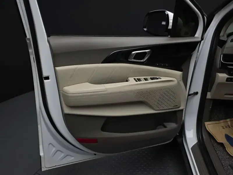 2024 Kia Carnival с пробегом 30 134 км