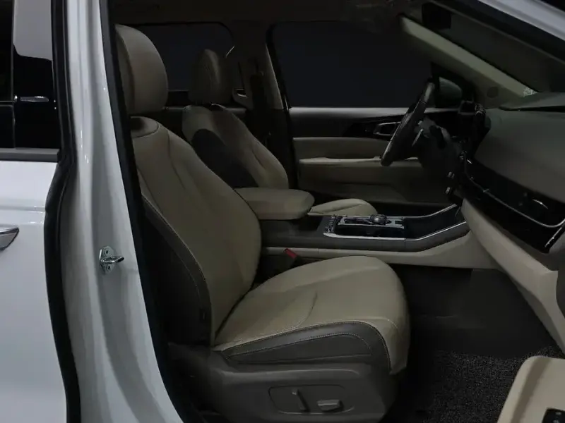 2024 Kia Carnival с пробегом 30 134 км