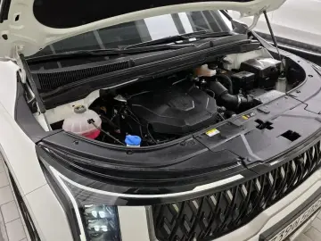 2024 Kia Carnival с пробегом 30 199 км
