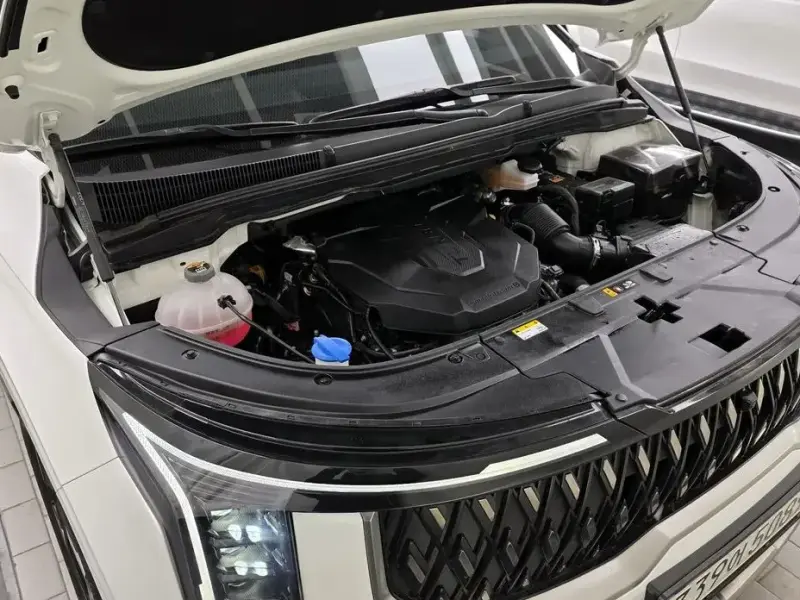 2024 Kia Carnival с пробегом 30 199 км
