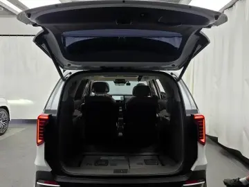 2024 Kia Carnival с пробегом 30 199 км