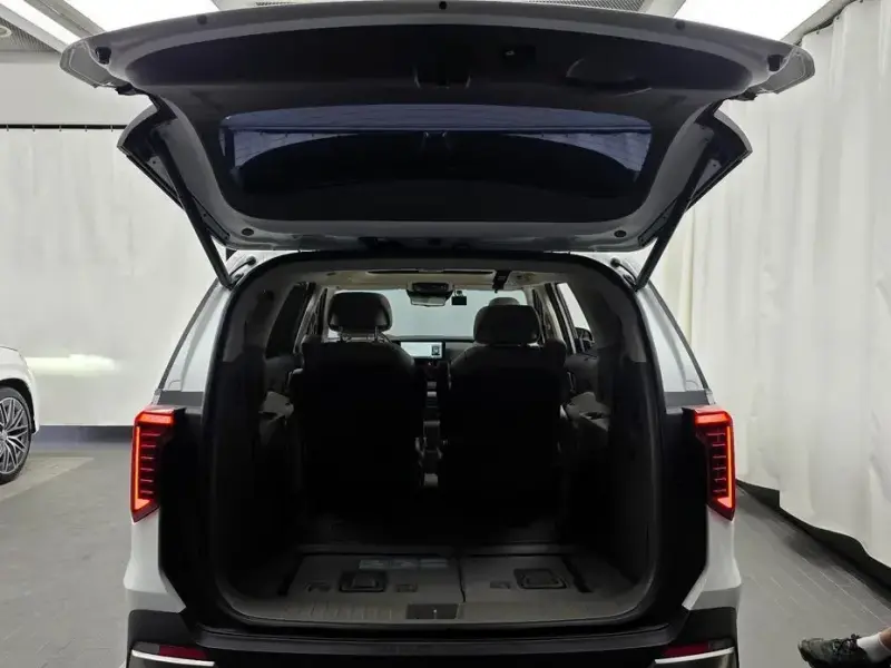 2024 Kia Carnival с пробегом 30 199 км