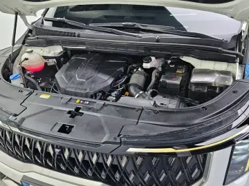 2024 Kia Carnival с пробегом 53 379 км