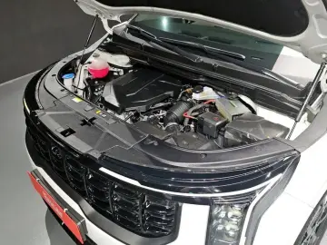 2025 Kia Carnival с пробегом 21 628 км