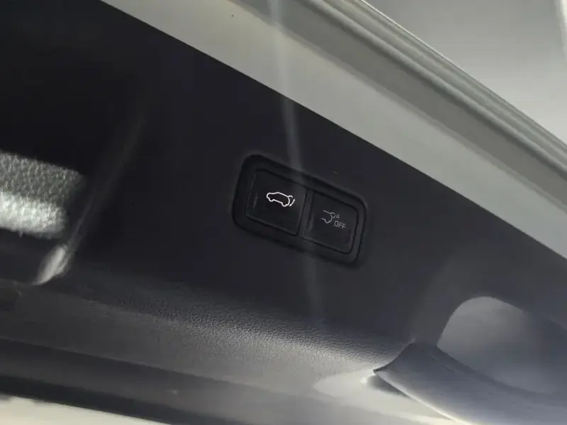 2025 Kia Carnival с пробегом 15 800 км