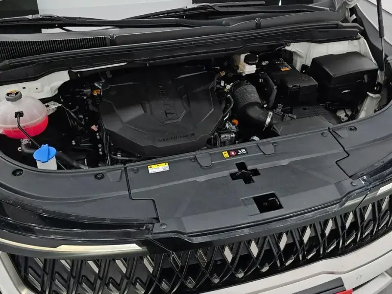2024 Kia Carnival с пробегом 21 529 км