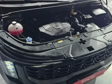2024 Kia Carnival с пробегом 19 052 км