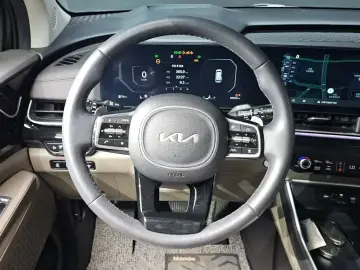 2024 Kia Carnival с пробегом 19 052 км