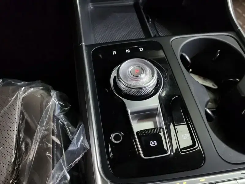 2025 Kia Carnival с пробегом 21 455 км
