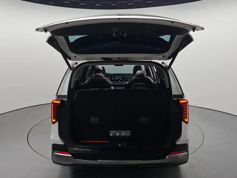 2024 Kia Carnival с пробегом 51 025 км