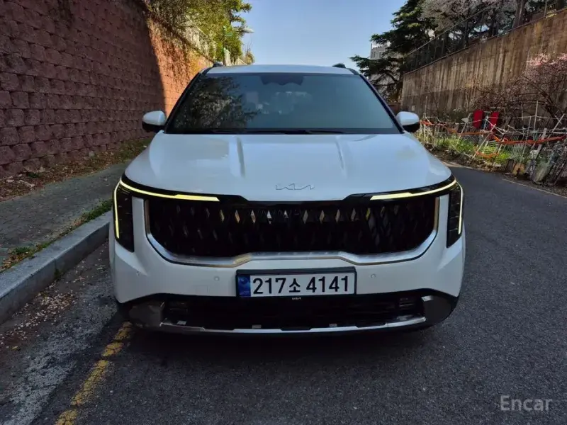 2024 Kia Carnival с пробегом 28 100 км