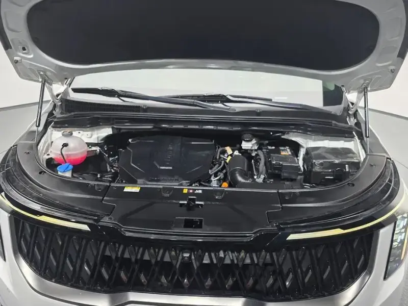 2024 Kia Carnival с пробегом 35 028 км