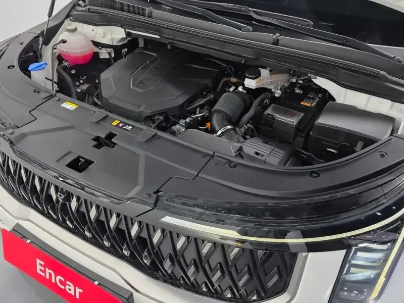 2024 Kia Carnival с пробегом 30 043 км