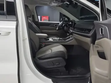 2024 Kia Carnival с пробегом 30 043 км