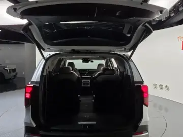 2024 Kia Carnival с пробегом 30 043 км